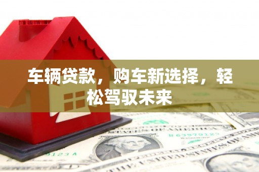 大安车辆贷款，购车新选择，轻松驾驭未来