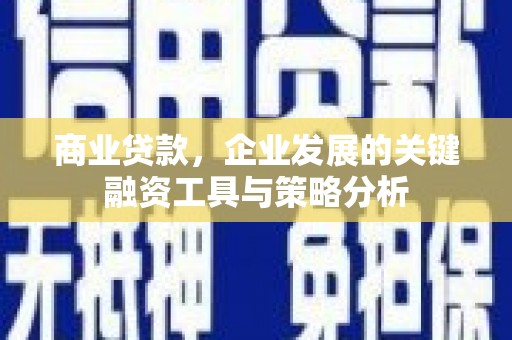 大安商业贷款，企业发展的关键融资工具与策略分析