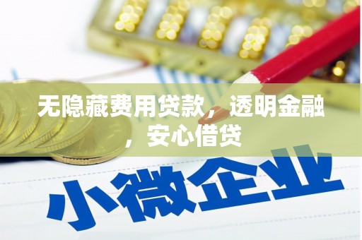 大安无隐藏费用贷款，透明金融，安心借贷