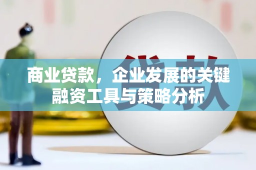 大安商业贷款，企业发展的关键融资工具与策略分析