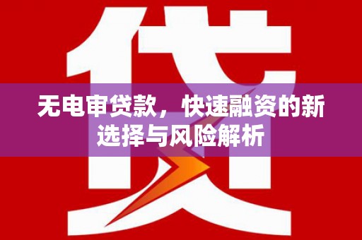 大安无电审贷款，快速融资的新选择与风险解析