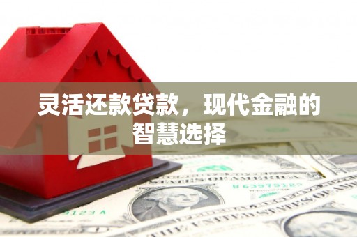 大安灵活还款贷款，现代金融的智慧选择