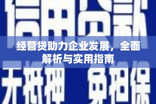 大安经营贷助力企业发展，全面解析与实用指南