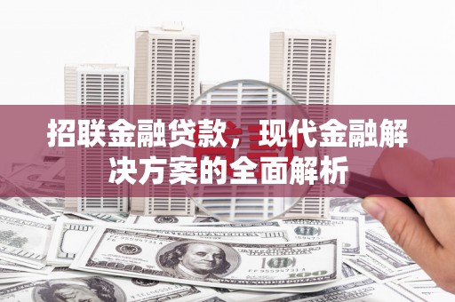 大安招联金融贷款，现代金融解决方案的全面解析