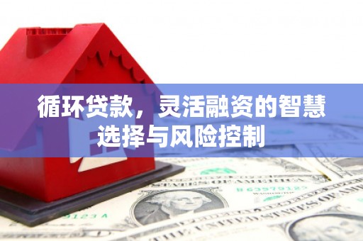 大安循环贷款，灵活融资的智慧选择与风险控制
