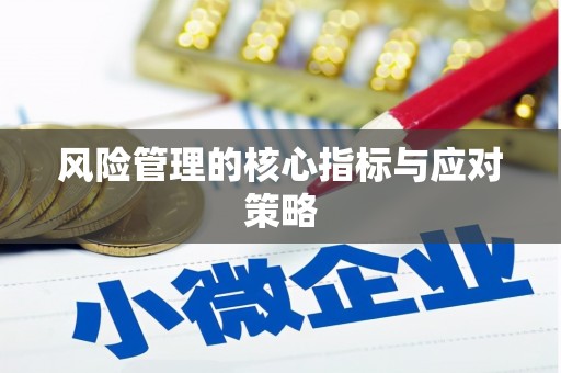 大安风险管理的核心指标与应对策略