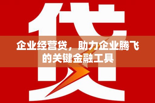 大安企业经营贷，助力企业腾飞的关键金融工具