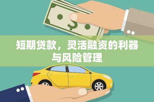 大安短期贷款，灵活融资的利器与风险管理