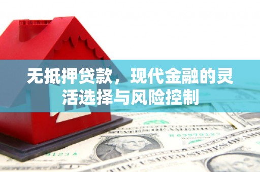 大安无抵押贷款，现代金融的灵活选择与风险控制