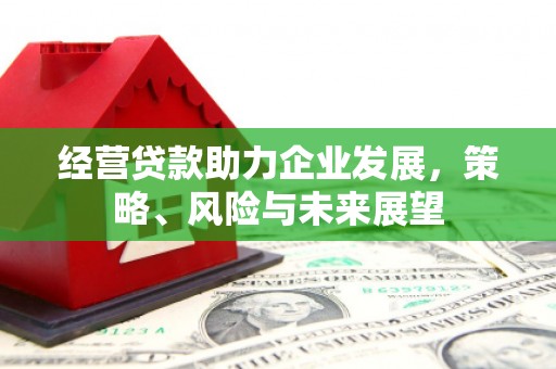 大安经营贷款助力企业发展，策略、风险与未来展望
