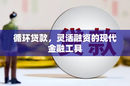 大安循环贷款，灵活融资的现代金融工具