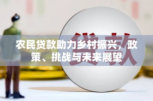 大安农民贷款助力乡村振兴，政策、挑战与未来展望