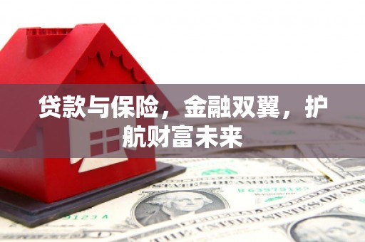 大安贷款与保险，金融双翼，护航财富未来