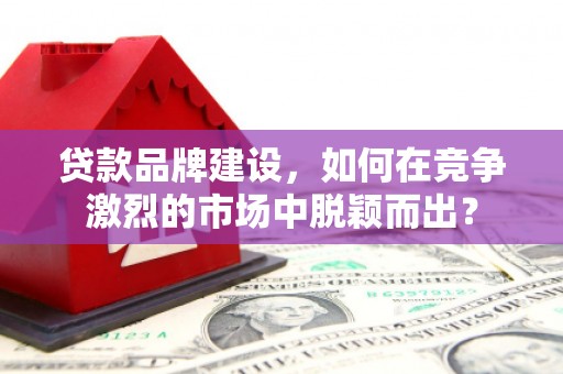 大安贷款品牌建设，如何在竞争激烈的市场中脱颖而出？