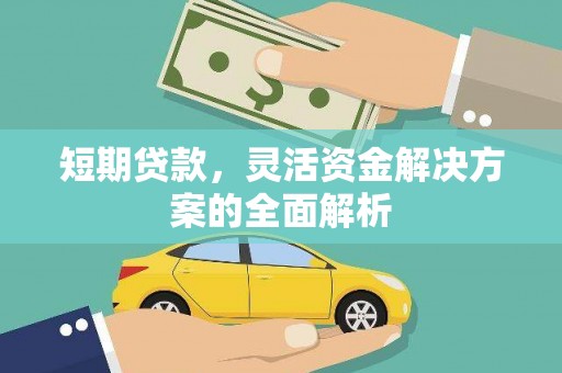 大安短期贷款，灵活资金解决方案的全面解析