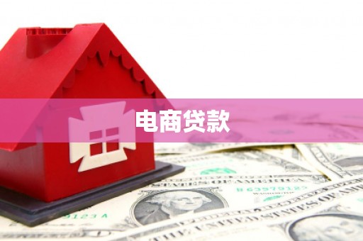 大安电商贷款