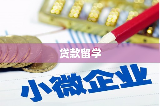 大安贷款留学