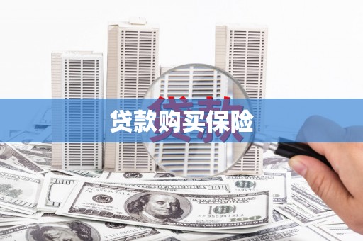大安贷款购买保险