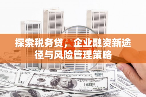 大安探索税务贷，企业融资新途径与风险管理策略