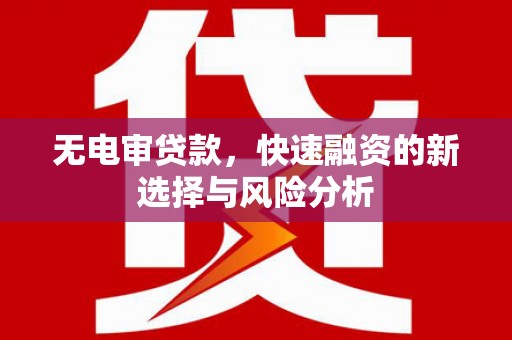 大安无电审贷款，快速融资的新选择与风险分析
