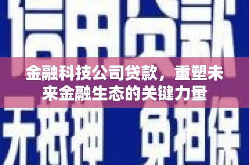 大安金融科技公司贷款，重塑未来金融生态的关键力量