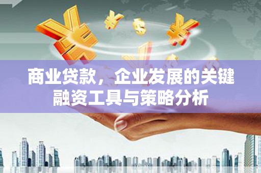 大安商业贷款，企业发展的关键融资工具与策略分析