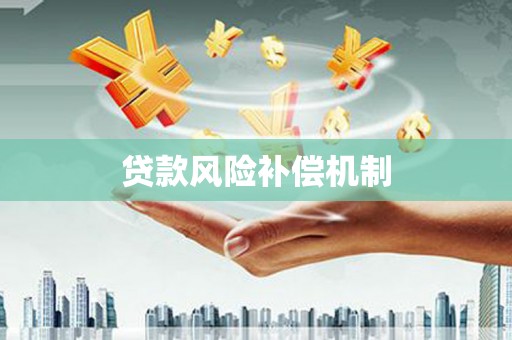 大安贷款风险补偿机制