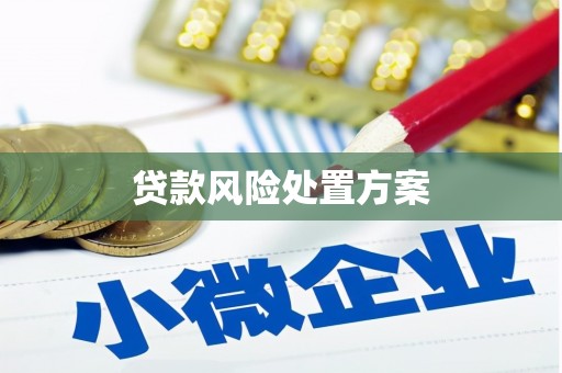 大安贷款风险处置方案