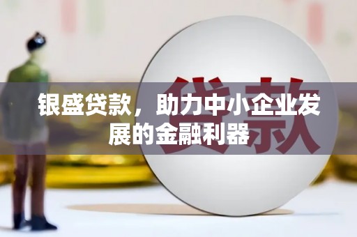 大安银盛贷款，助力中小企业发展的金融利器
