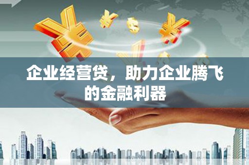 大安企业经营贷，助力企业腾飞的金融利器