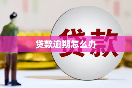 大安贷款逾期怎么办