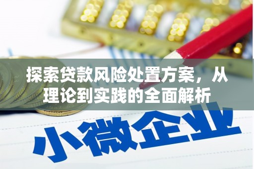 大安探索贷款风险处置方案，从理论到实践的全面解析