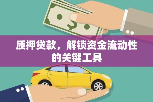 大安质押贷款，解锁资金流动性的关键工具