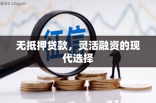 大安无抵押贷款，灵活融资的现代选择