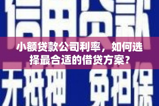 大安小额贷款公司利率，如何选择最合适的借贷方案？