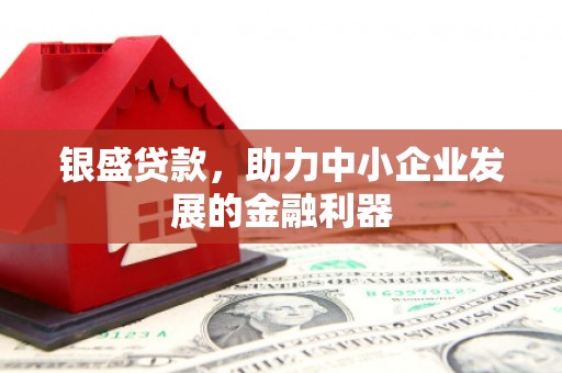 大安银盛贷款，助力中小企业发展的金融利器