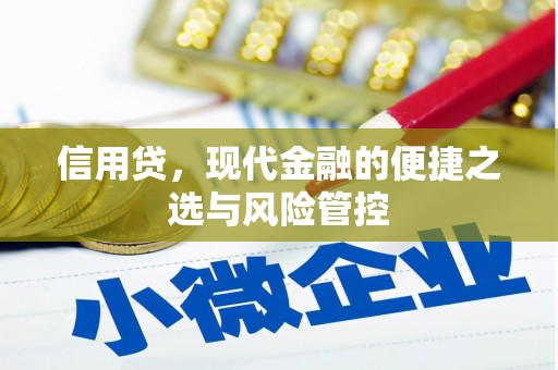大安信用贷，现代金融的便捷之选与风险管控