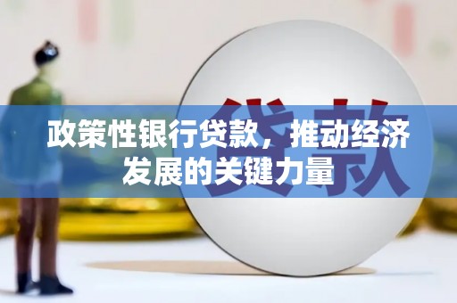 大安政策性银行贷款，推动经济发展的关键力量