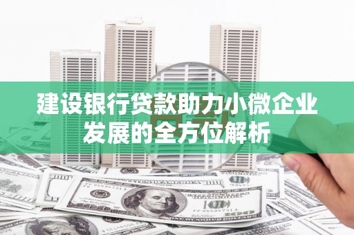 大安建设银行贷款助力小微企业发展的全方位解析