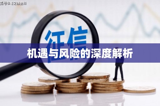 大安机遇与风险的深度解析