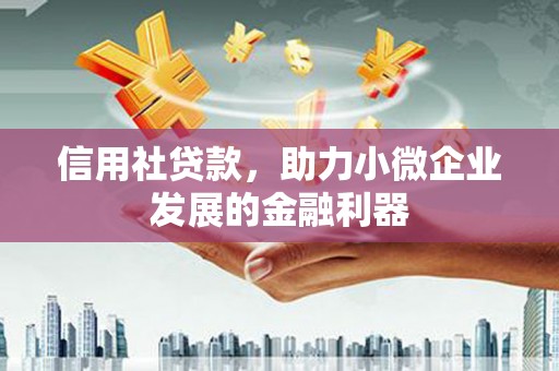 大安信用社贷款，助力小微企业发展的金融利器