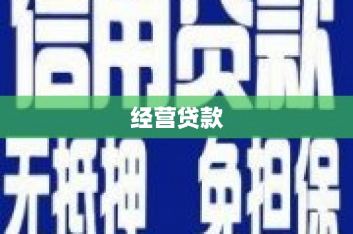 大安经营贷款