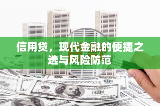 大安信用贷，现代金融的便捷之选与风险防范