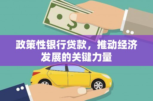 大安政策性银行贷款，推动经济发展的关键力量