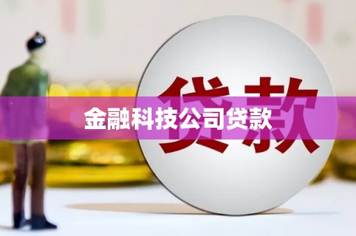 大安金融科技公司贷款