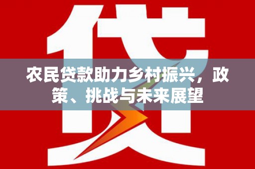 大安农民贷款助力乡村振兴，政策、挑战与未来展望