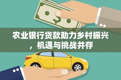 大安农业银行贷款助力乡村振兴，机遇与挑战并存