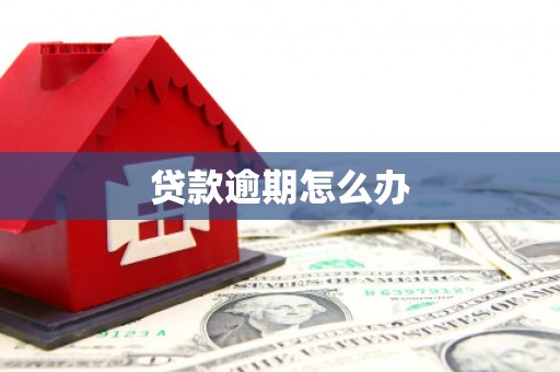 大安贷款逾期怎么办