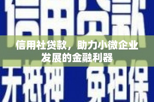 大安信用社贷款，助力小微企业发展的金融利器