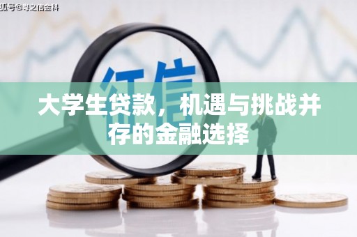 大安大学生贷款，机遇与挑战并存的金融选择